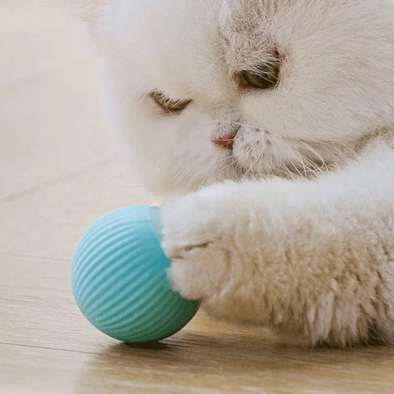 Automatic Rolling Magic Ball